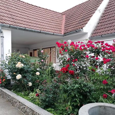 Hotel Pensiunea Spack Cristian  Zewnętrze zdjęcie