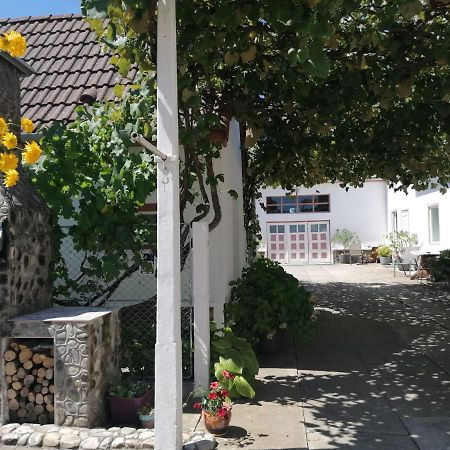 Hotel Pensiunea Spack Cristian  Zewnętrze zdjęcie