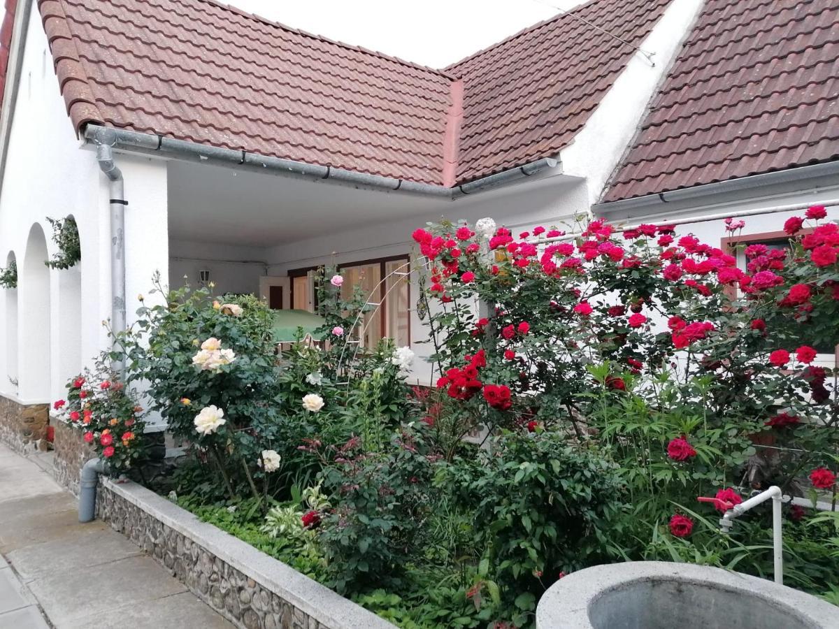 Hotel Pensiunea Spack Cristian  Zewnętrze zdjęcie